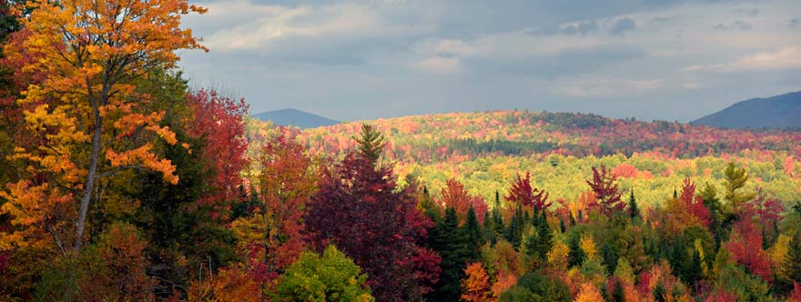 Autumn Foliage in Bethlehem NH