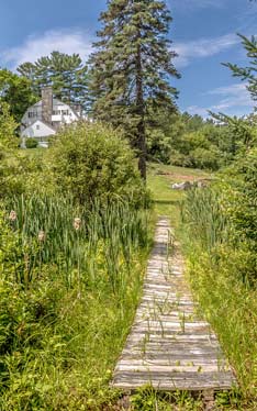 Adair Walking path