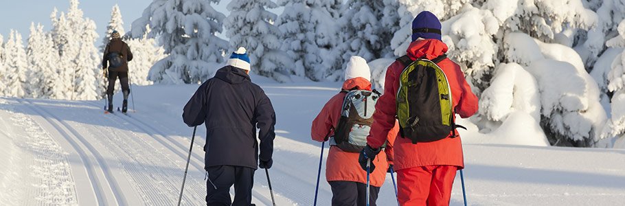 Cross Country Skiers