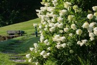 grounds at Adair Country Inn in Bethlehem, New Hampshire