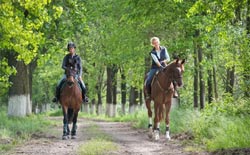 Horseback Riding