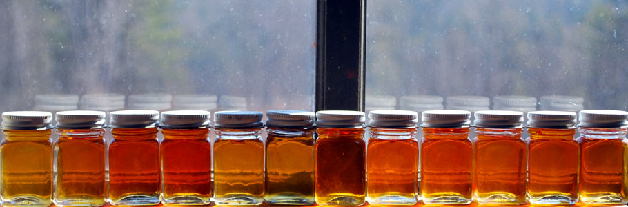The New Hampshire Maple Experience