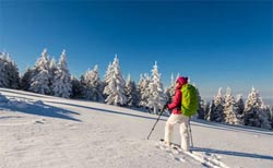 Snowshoeing